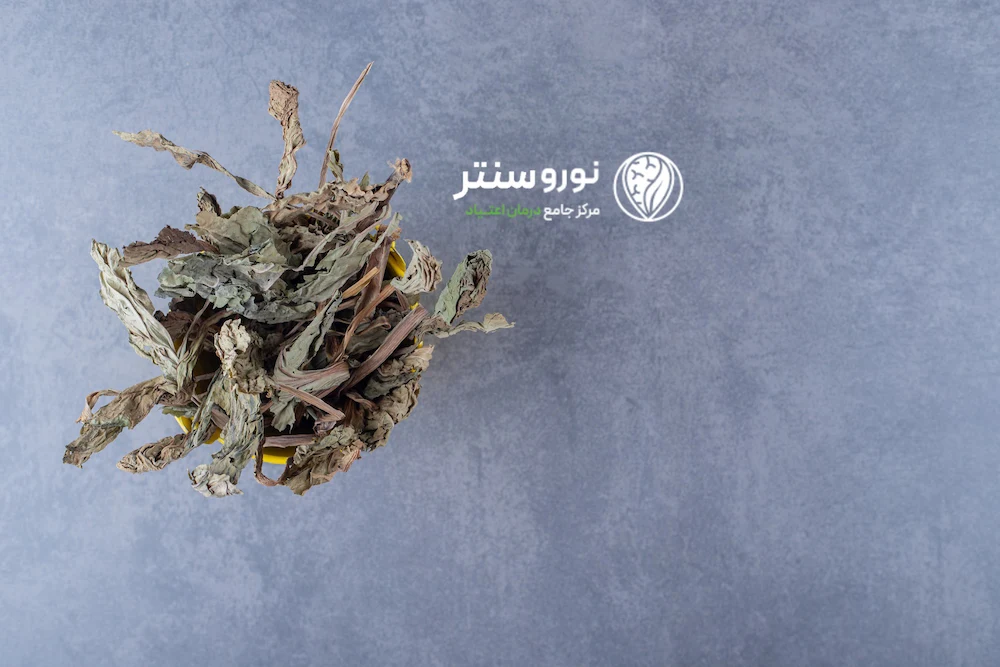 مواد-مخدر-بنزای-چیست؟-ترک-بنزای-در-کمپ-ترک-اعتیاد-نوروسنتر-اسفند-1403