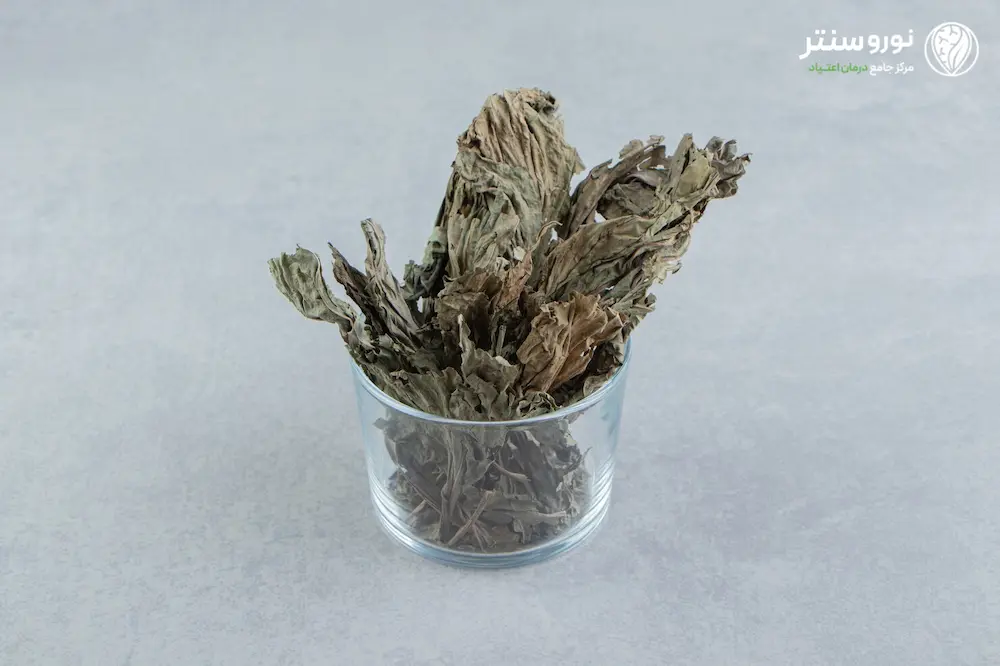 مخدر قات چیست؟ | بررسی کامل اثرات،عوارض و روش های ترک در کلینیک ترک اعتیاد نوروسنتر 1404