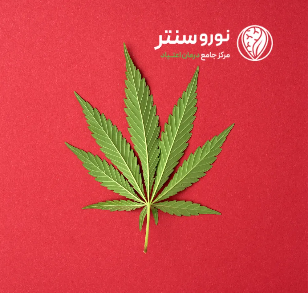 مواد-مخدر-بنزای-چیست؟-ترک-بنزای-در-کمپ-ترک-اعتیاد-نوروسنتر-اسفند-1403
