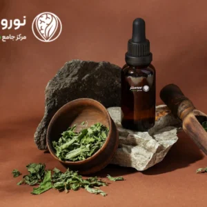 بهترین کمپ ترک گل