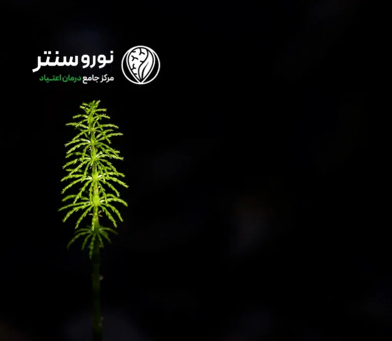عوارض-ماری-جوانا-بر-بدن-فرد-مصرف-کننده-چیست؟-ترک-گل-در-کمپ-ترک-اعتیاد-در-تهران-اسفند-1403