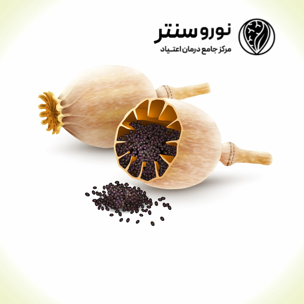 بهترین کلینیک ترک تریاک در تهران |کمپ ترک اعتیاد نوروسنتر 1404